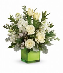 Teleflora's Winter Pop Bouquet from Gilmore's Flower Shop in East Providence, RI